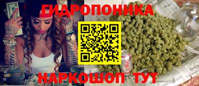 индика Ирбит
