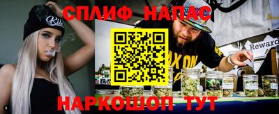 индика Ирбит