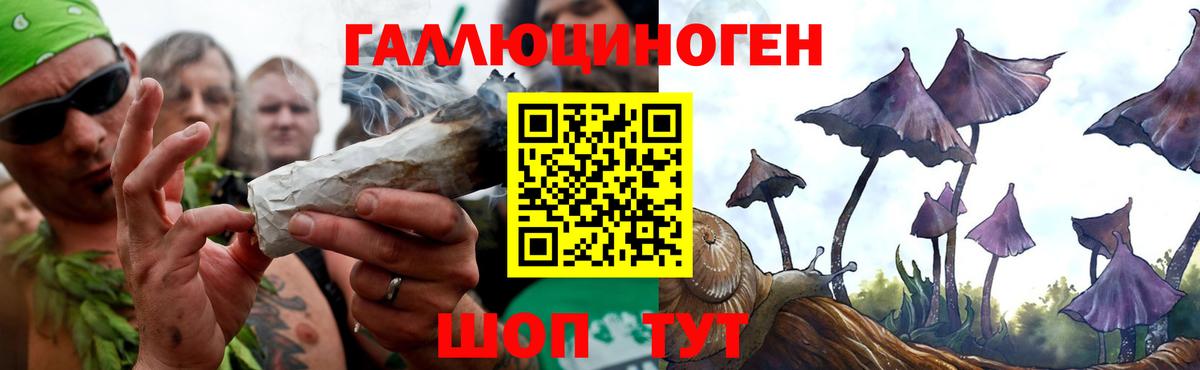Галлюциногенные грибы MAGIC MUSHROOMS  Галлюциногенные грибы мицелий  Вход с VPN  Донецк 