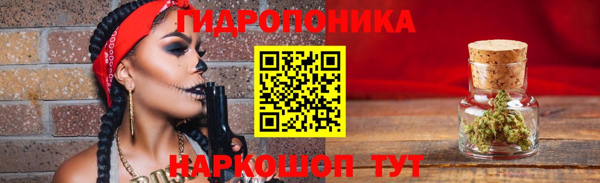 Бошки марихуана Amnesia  Вход с VPN  Бошки Шишки Bruce Banner  Марихуана марихуана  Донецк 